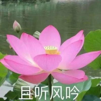 斩仙手游下载